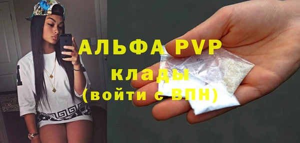 крисы Магас