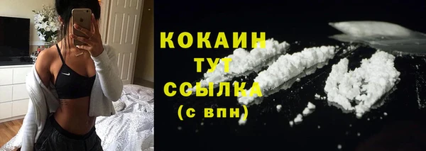 крисы Магас