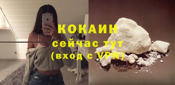 дживик Баксан