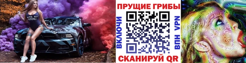 Псилоцибиновые грибы Psilocybine cubensis  купить наркоту  Жиздра 