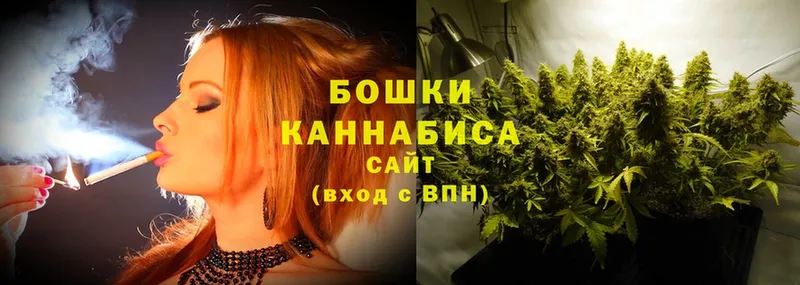 Бошки марихуана SATIVA & INDICA  Жиздра 