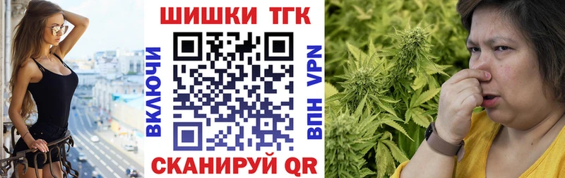 где найти наркотики  Жиздра  Бошки марихуана SATIVA & INDICA 